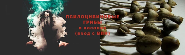 сатива Алзамай
