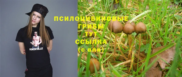 бошки Алексеевка